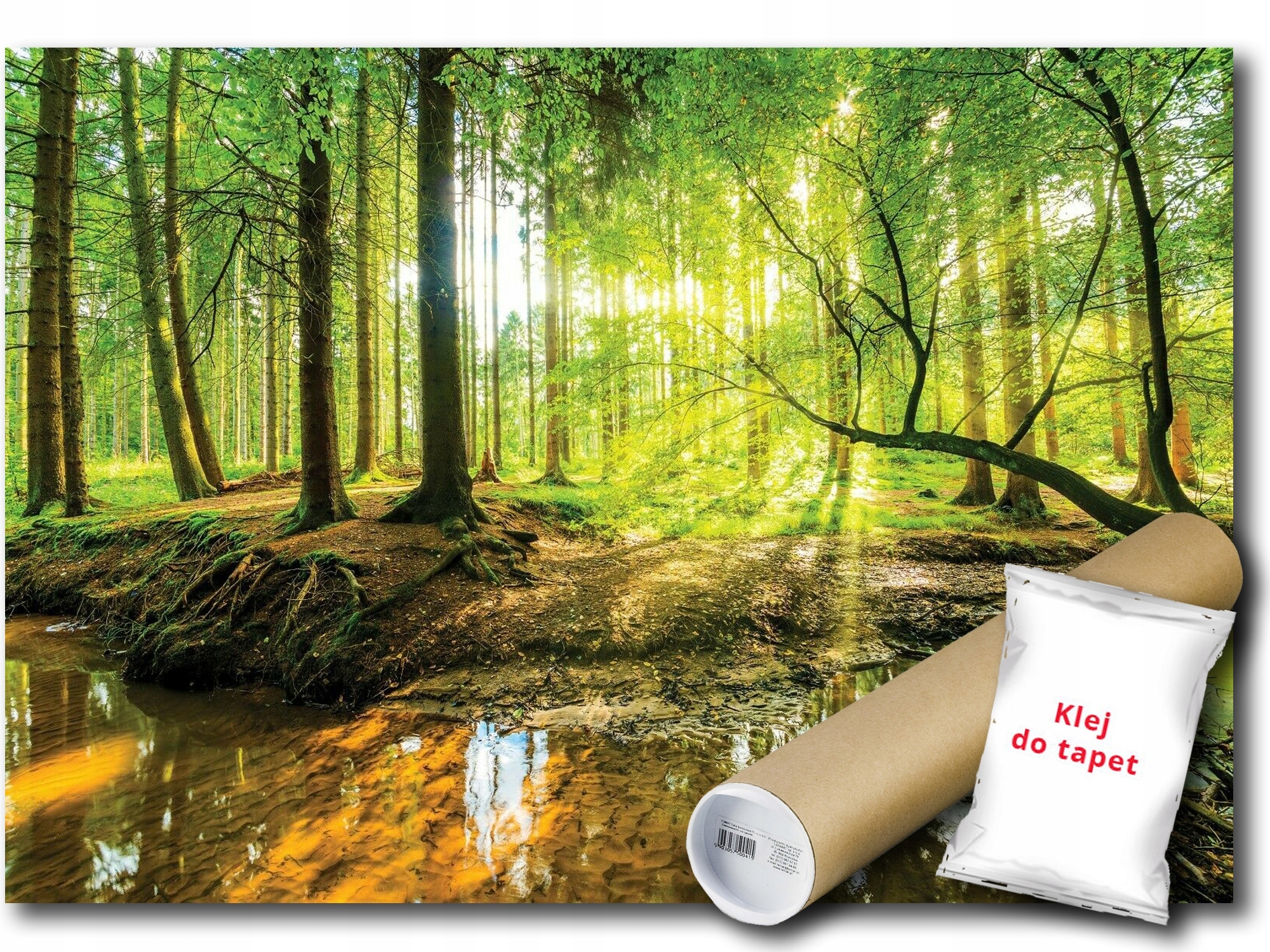 Vliesová fototapeta Les Slunce Výhled Stromy Potok 300x210 lepidlo bonus