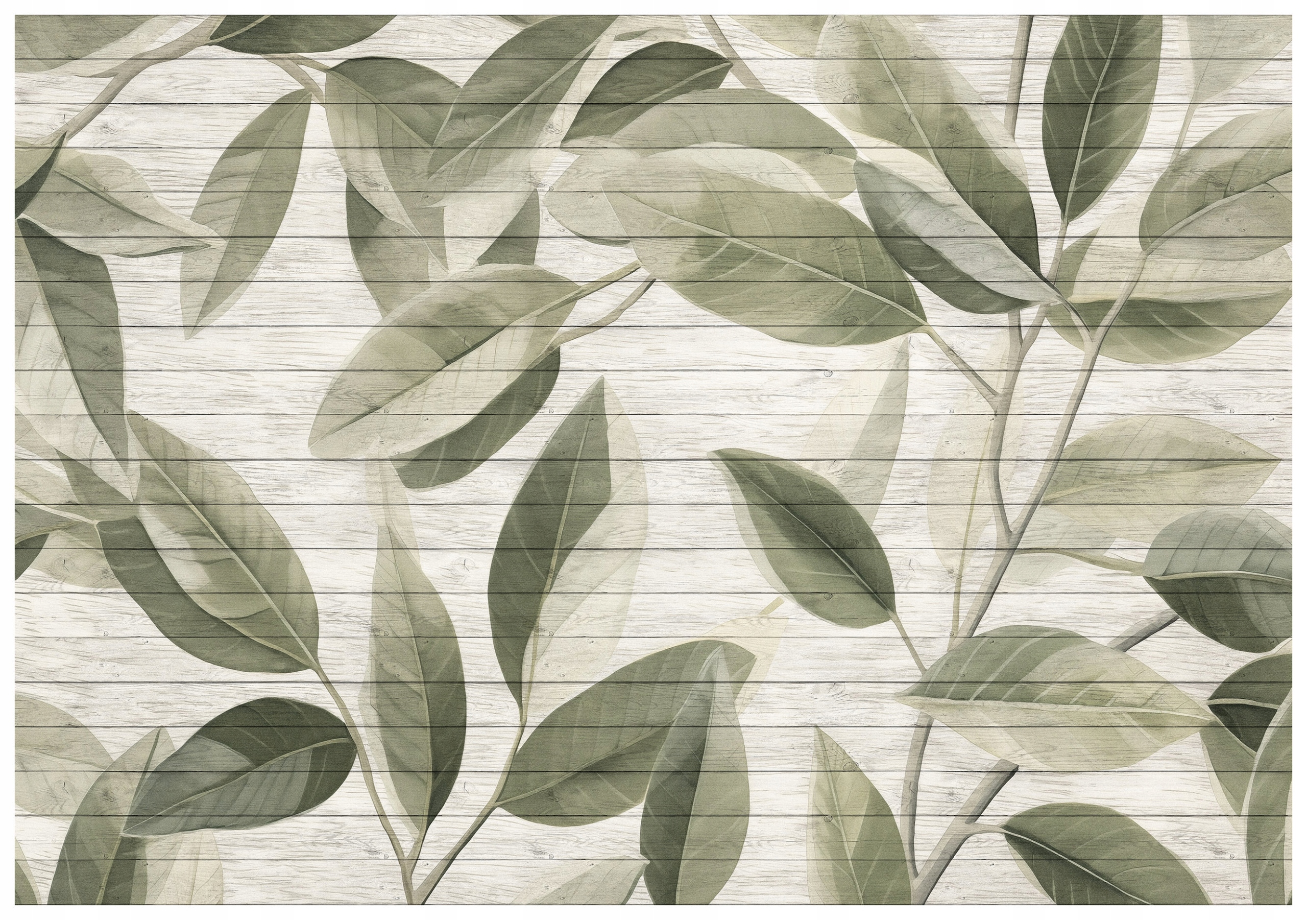 Vliesová fototapeta Botanické listy rustikální zelené 254x184 lepidlo