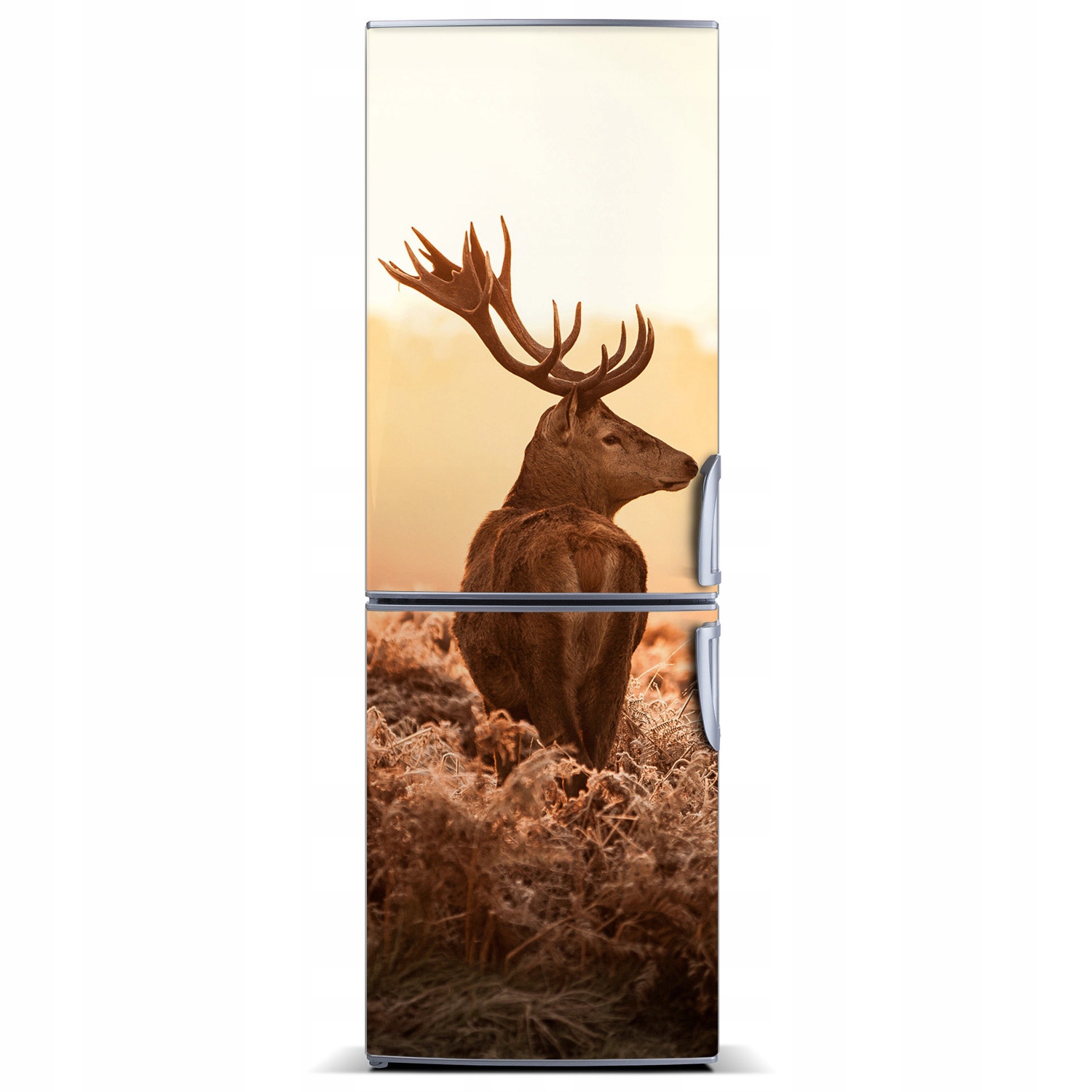 

Naklejka magnetyczna lodówkę Jeleń wschód 60x180