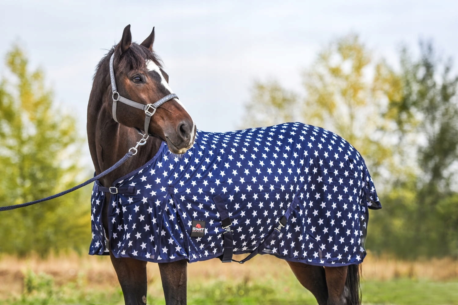 Derka siatkowa przeciw owadom dla konia Start Stars bardzo drobne oczka 105