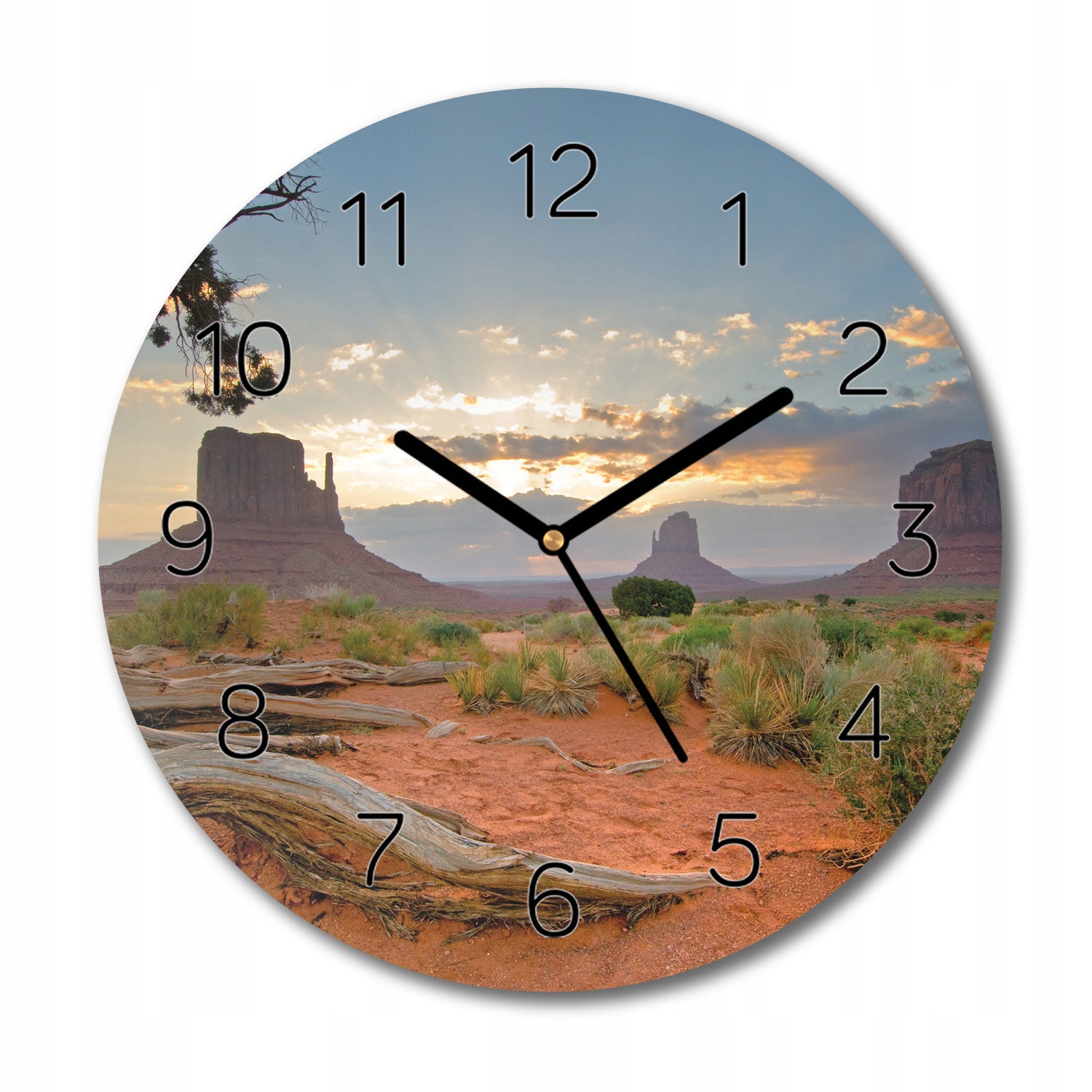 

zegar na szkle Drzewo trawy góry do kuchni fi 30