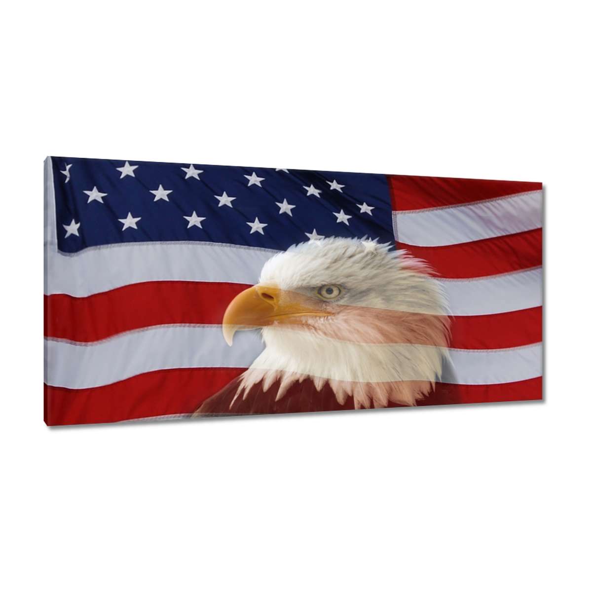 Obrazy 115x55 Freedom z Usa