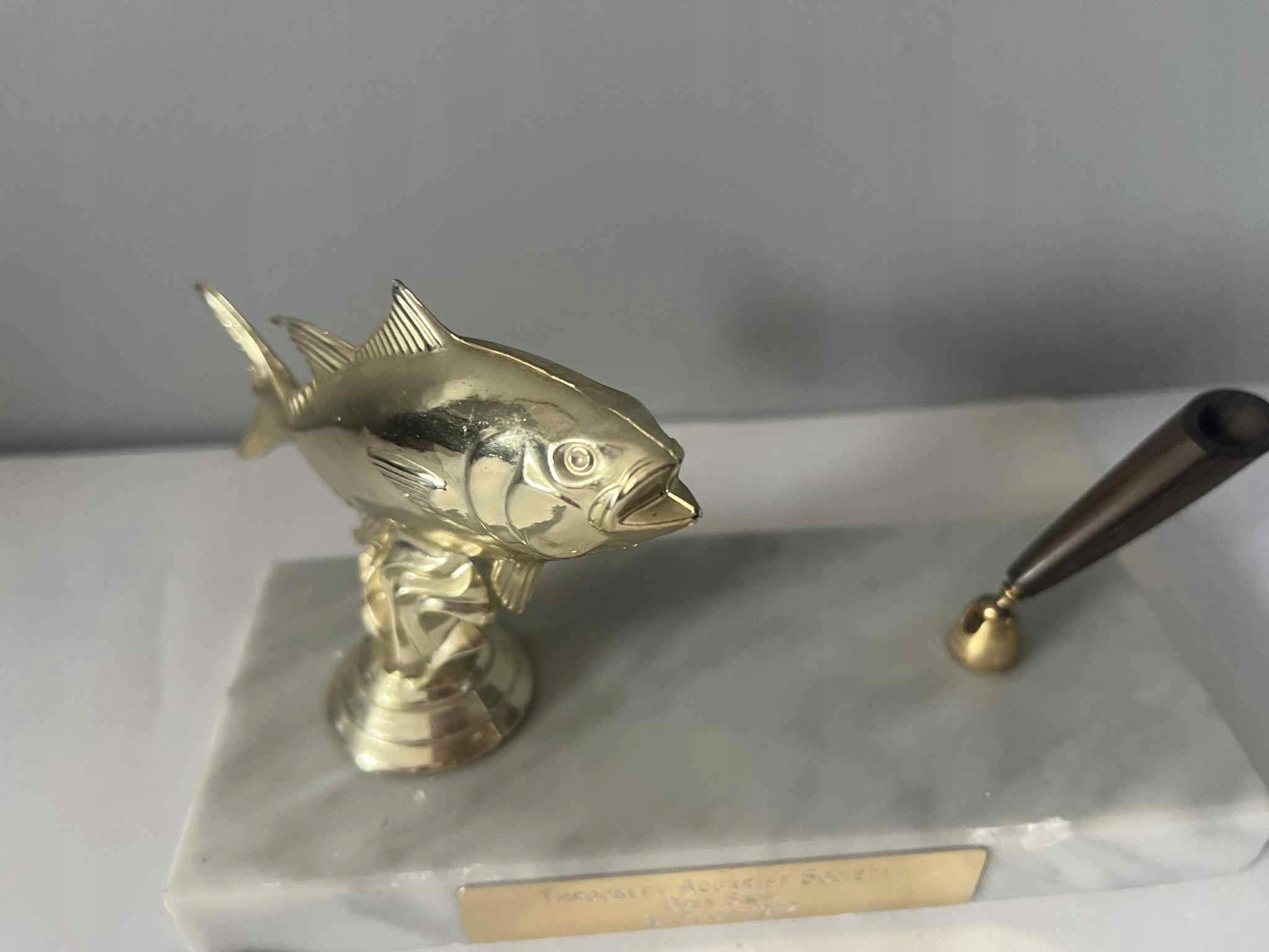 Ryba kałamarz na kamieniu