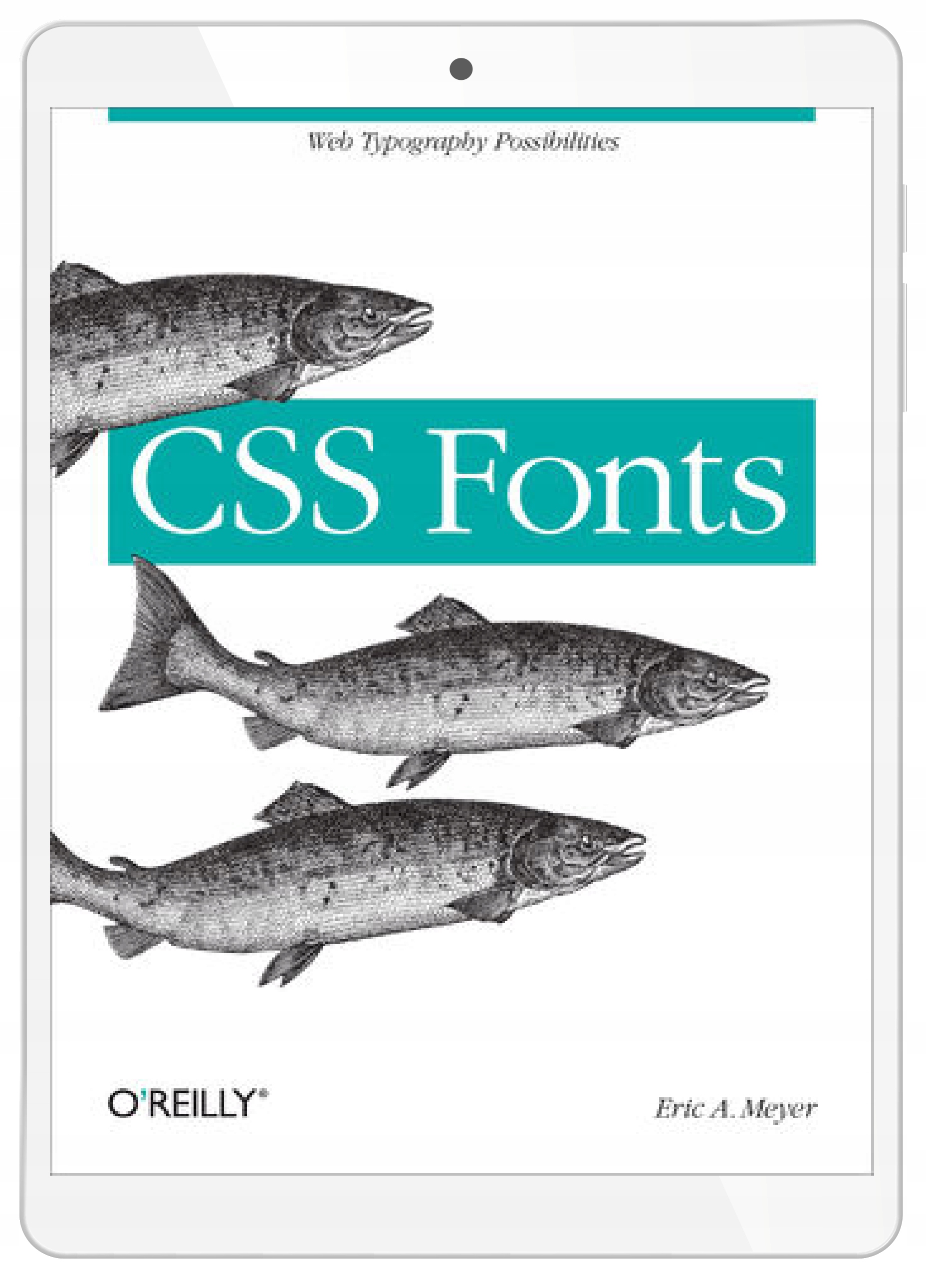 CSS Fonts. Web Typography Possibilities