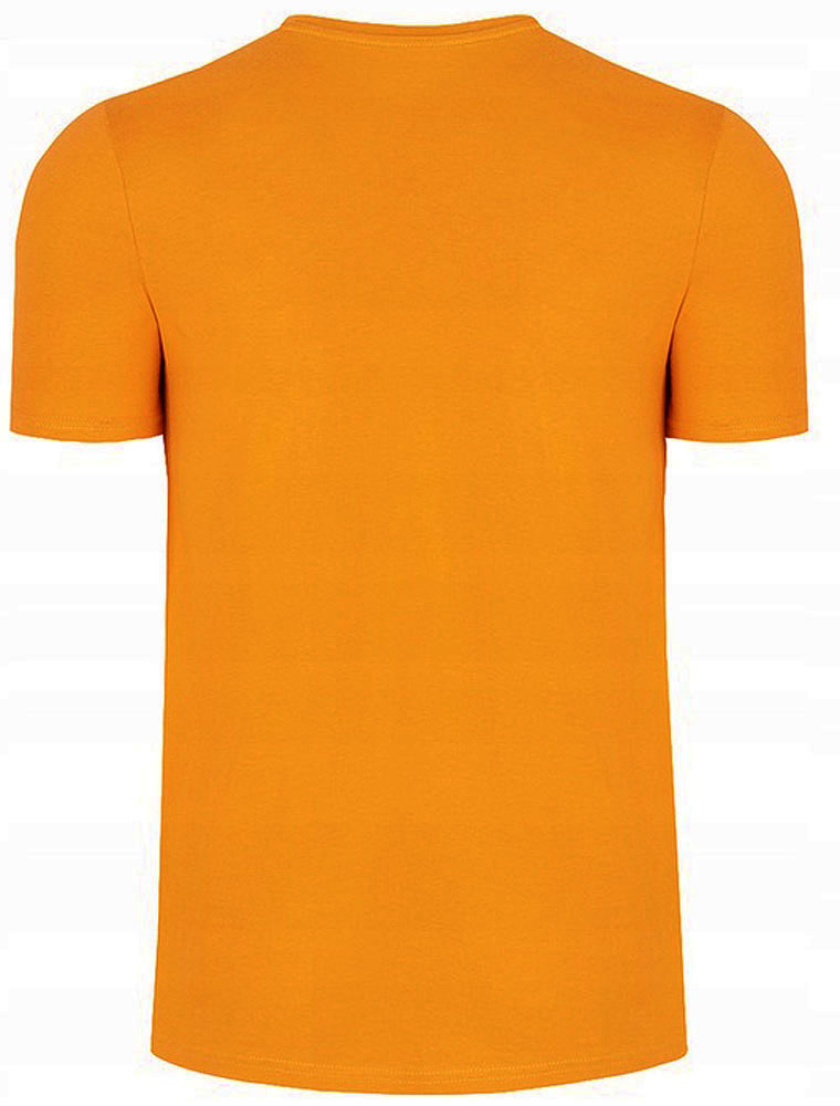 KOSZULKA MĘSKA 4F T-SHIRT BAWEŁNIANY NA CO DZIEŃ ZESTAW 4 PAK r.L Linia regular