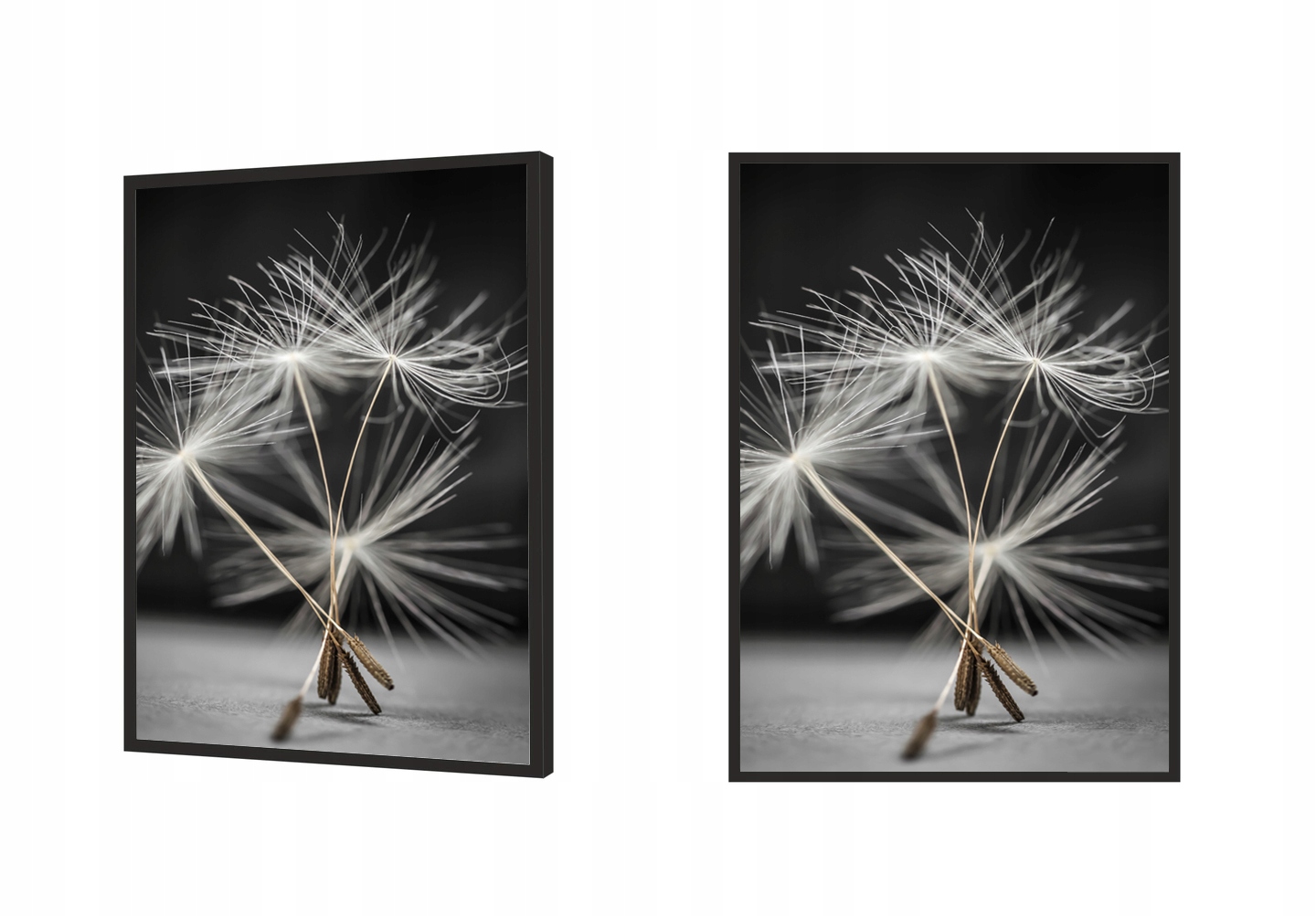 OBRAZ, PLAKAT W RAMIE 53x73 cm Dmuchawiec P521 Rodzaj w ramie