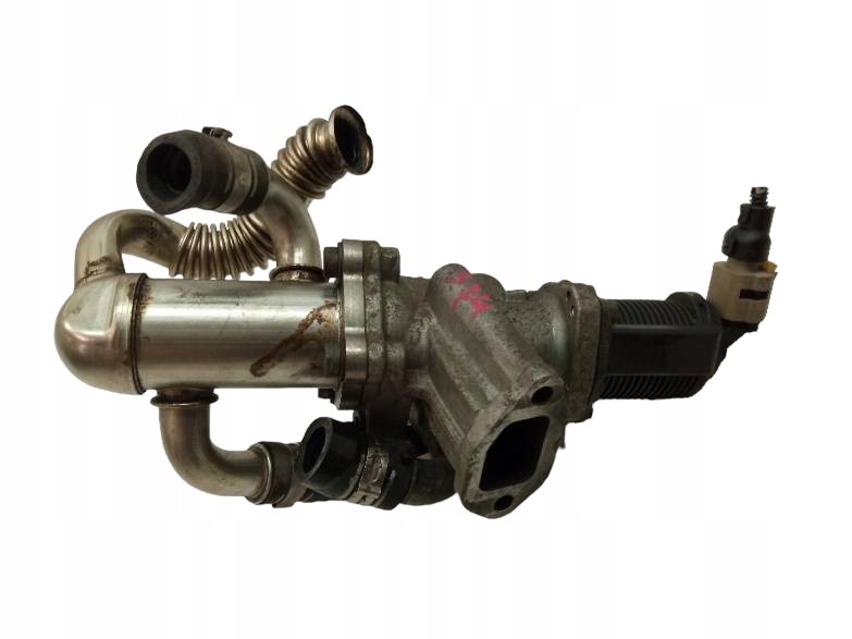 Abgaskuehler AGR 910051 1.5 DCI Renault Kangoo und (1997-2007)