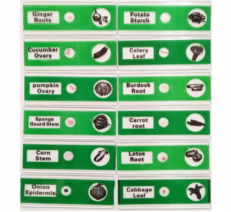 zestaw PREPARATY DO MIKROSKOPÓW dla dzieci 48 szt. Bohater / Bajka brak