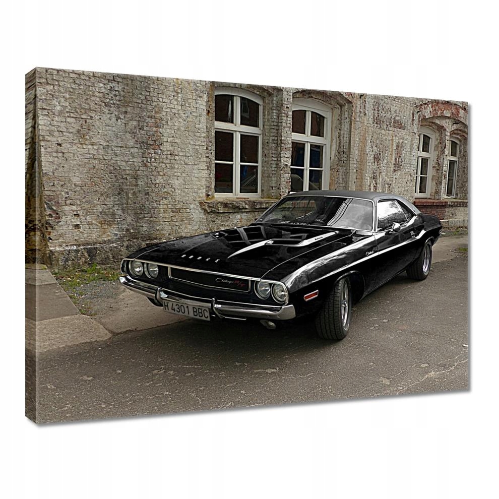 

Obrazy 40x30 Dodge Challenger Rt Auto