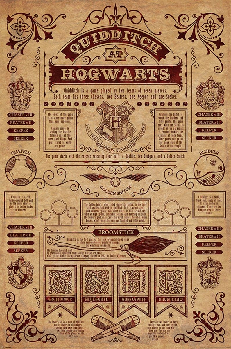 

Plakat Harry Potter Quidditch Hogwarts 61x91,5 cm