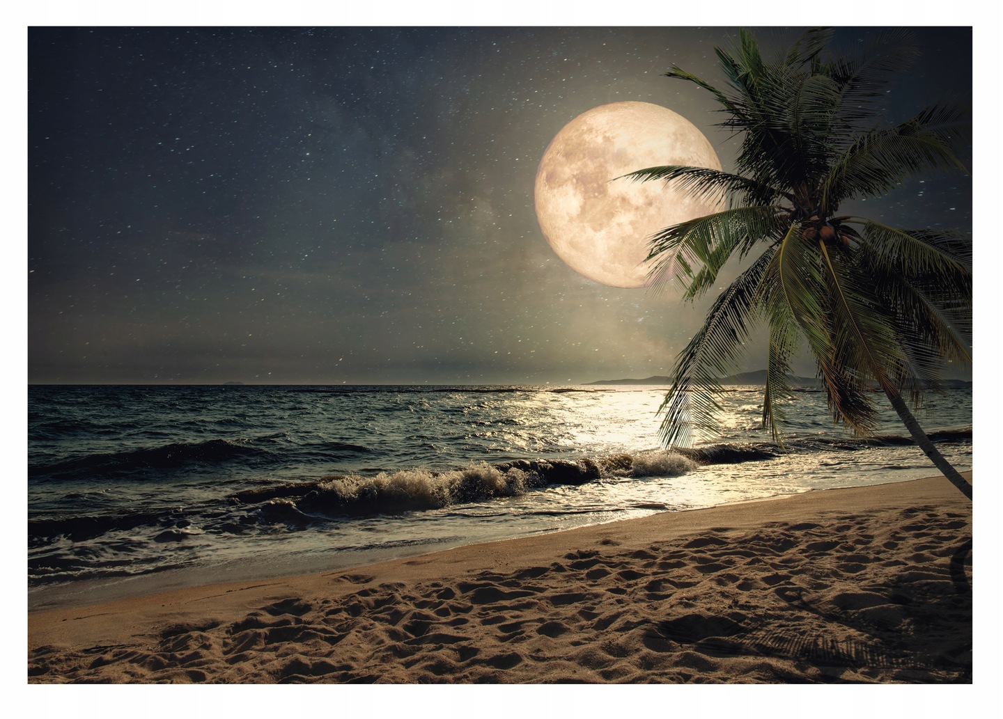 Fototapeta Pláž V noci Moře Palmy Pohled 254x184