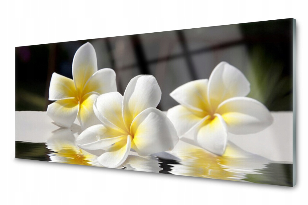 

Panel szklany do kuchni Kwiaty Roślina 125x50