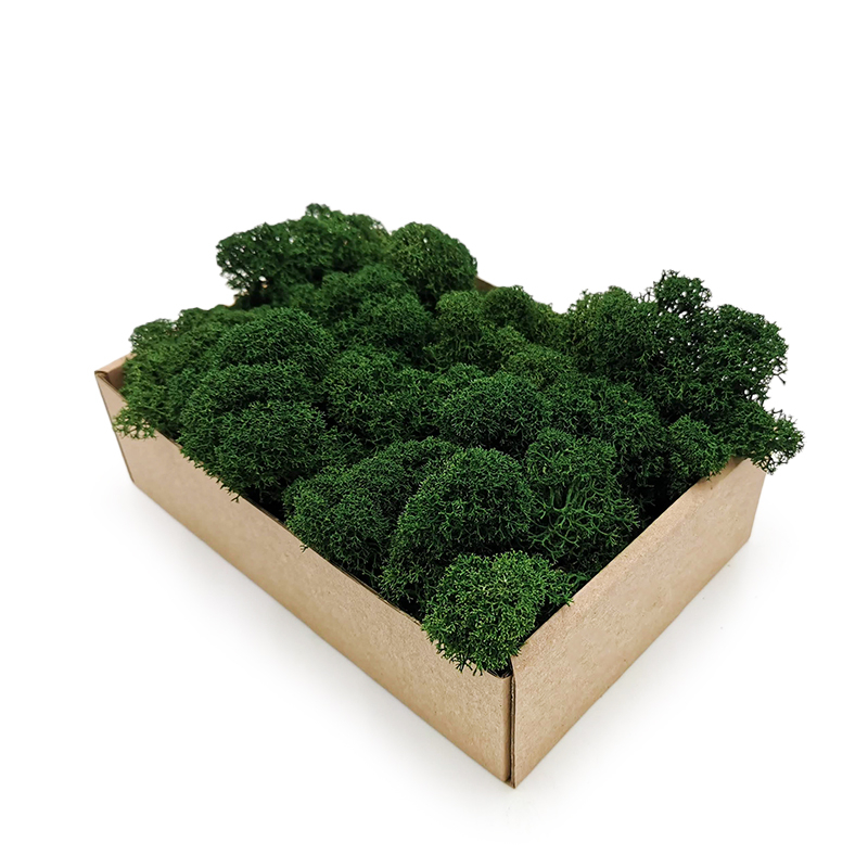 

Mech chrobotek Finlandia 50g Netto! Klasa Premium