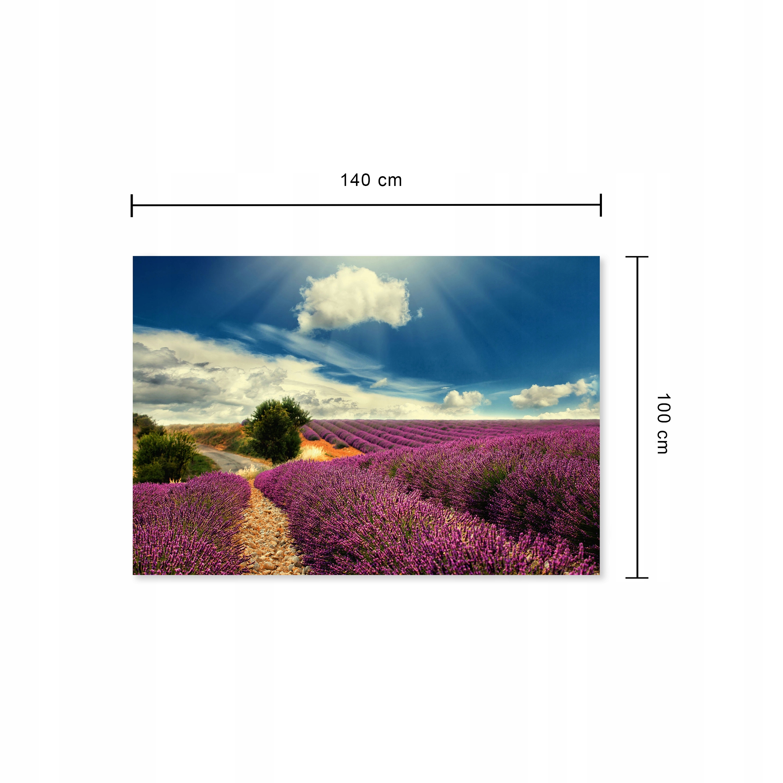 NOWOCZESNY PLAKAT 100X140 POLE LAWENDY Marka KNOR