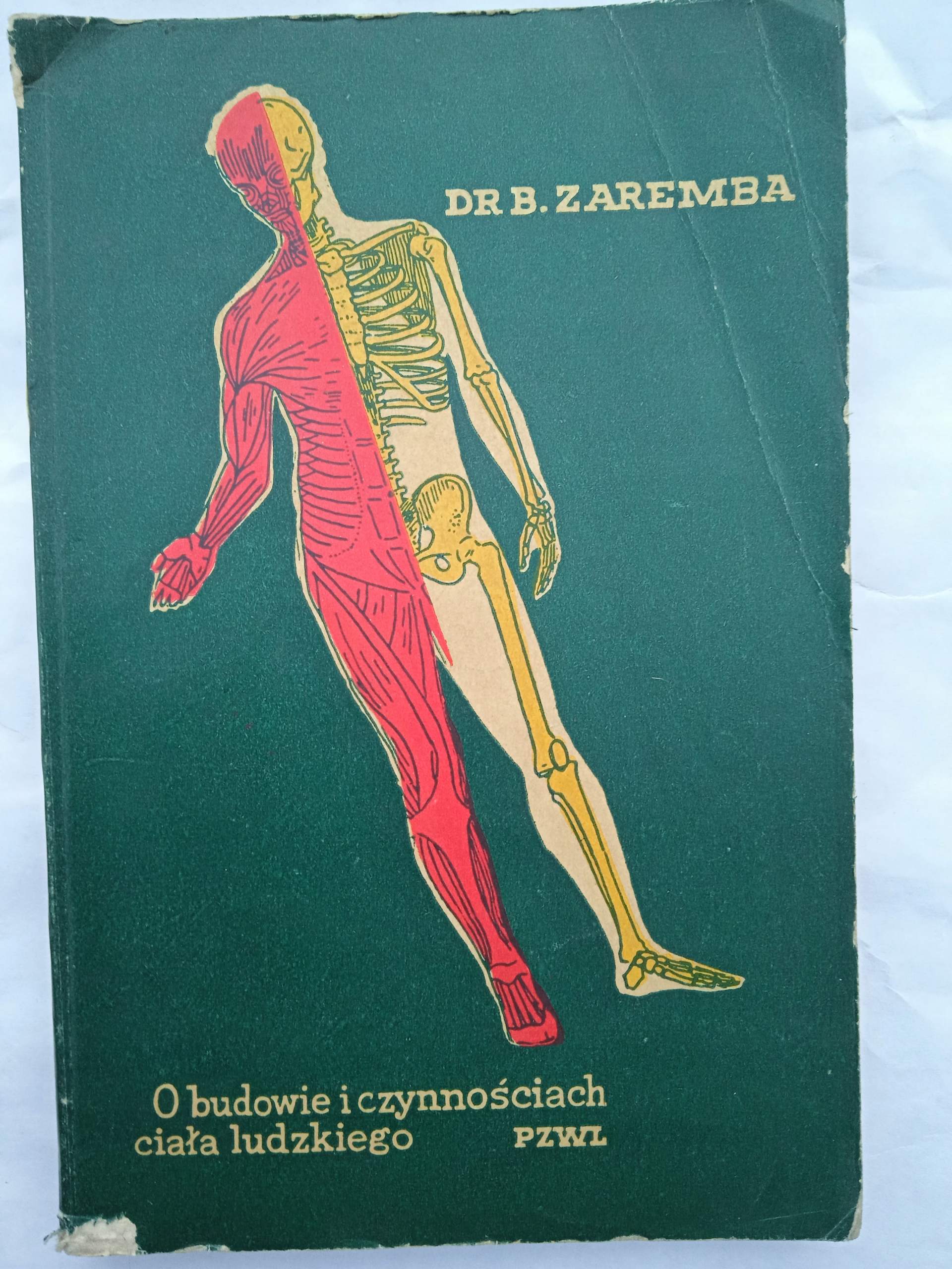 DR B. ZAREMBA O BUDOWIE I CZYNNOŚCIACH CIAŁA LUDZKIEGO