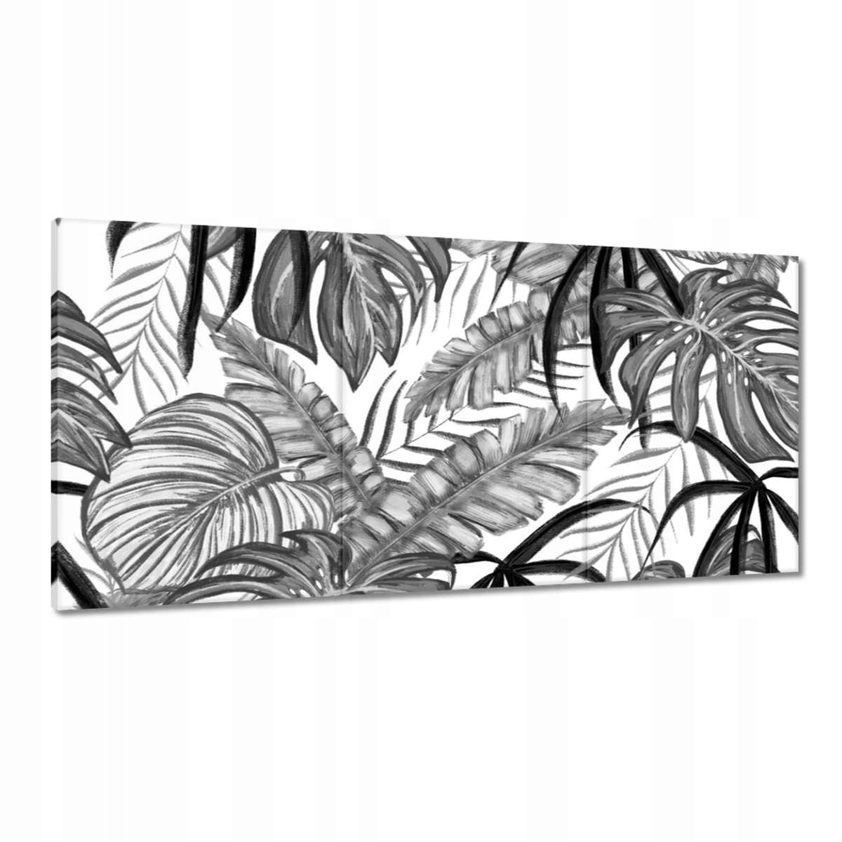 Obrazy 180x90 Monstera Zelený list