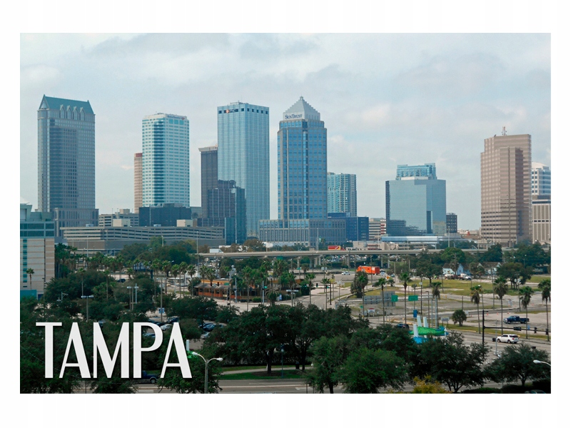 

Usa Tampa Floryda Magnes na lodówkę