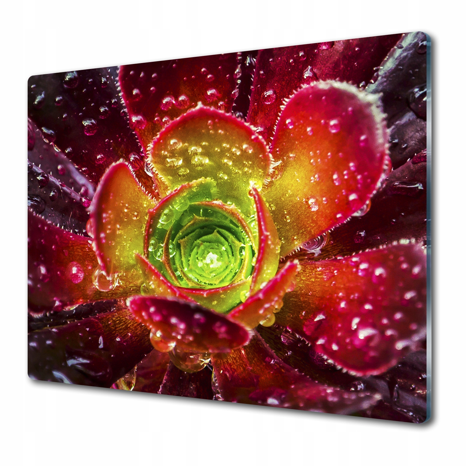 

Szklana deska do krojenia Kwiat Czerwony 60x52 cm