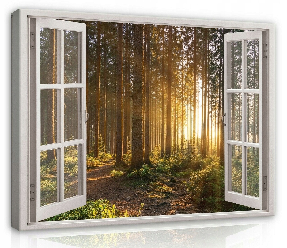 Obraz 80x60 Les slunce paprsky stezka příroda klid hloubka zeleň