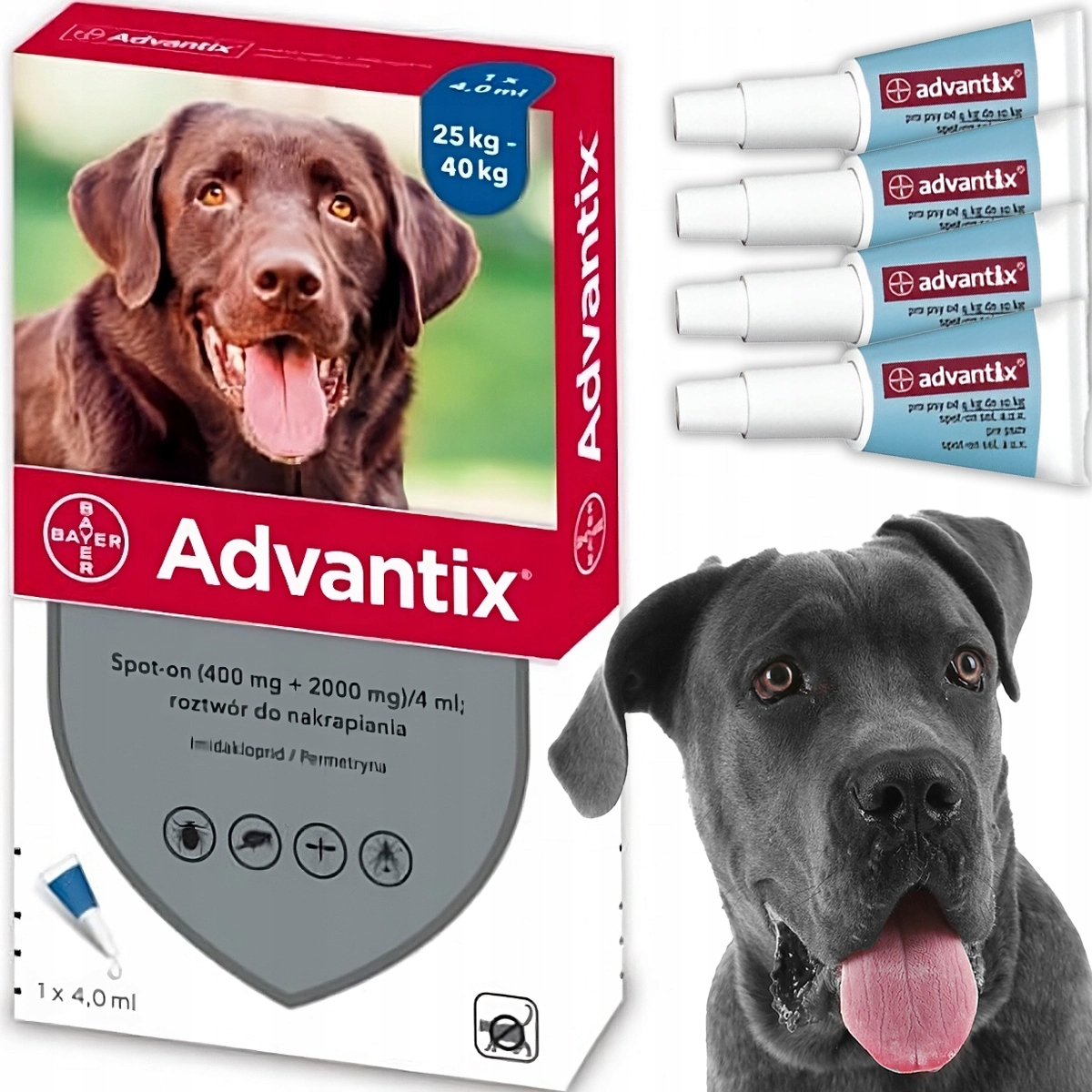 Skuteczne Krople dla Psa do 40 kg na Kleszcze Pchły Advantix 4 x 4 ml
