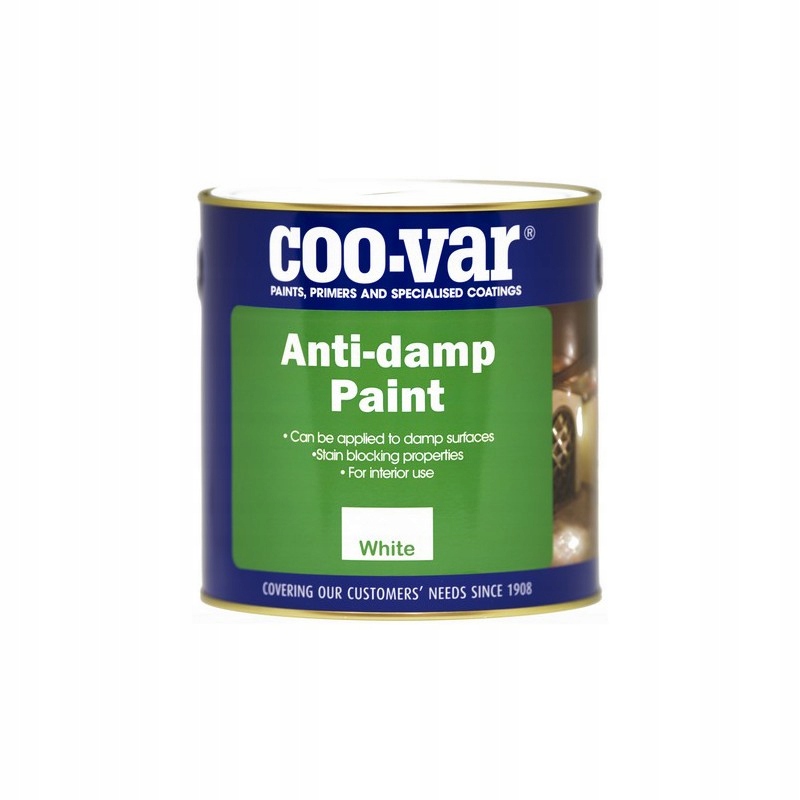 

Farba na wilgoć Anti-Damp 2,5 l