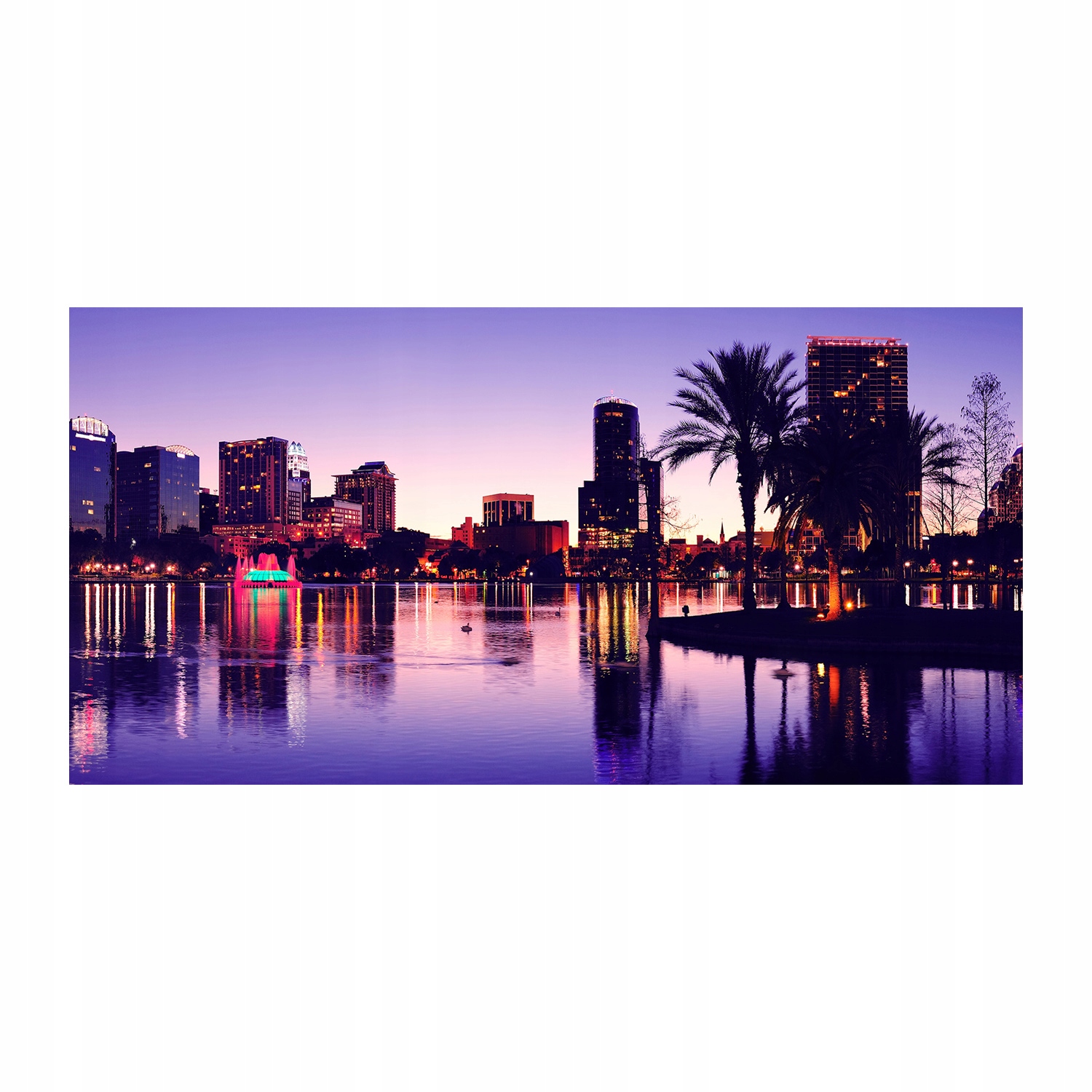 

Foto obraz na szkle akrylowym Orlando Usa 120X60cm
