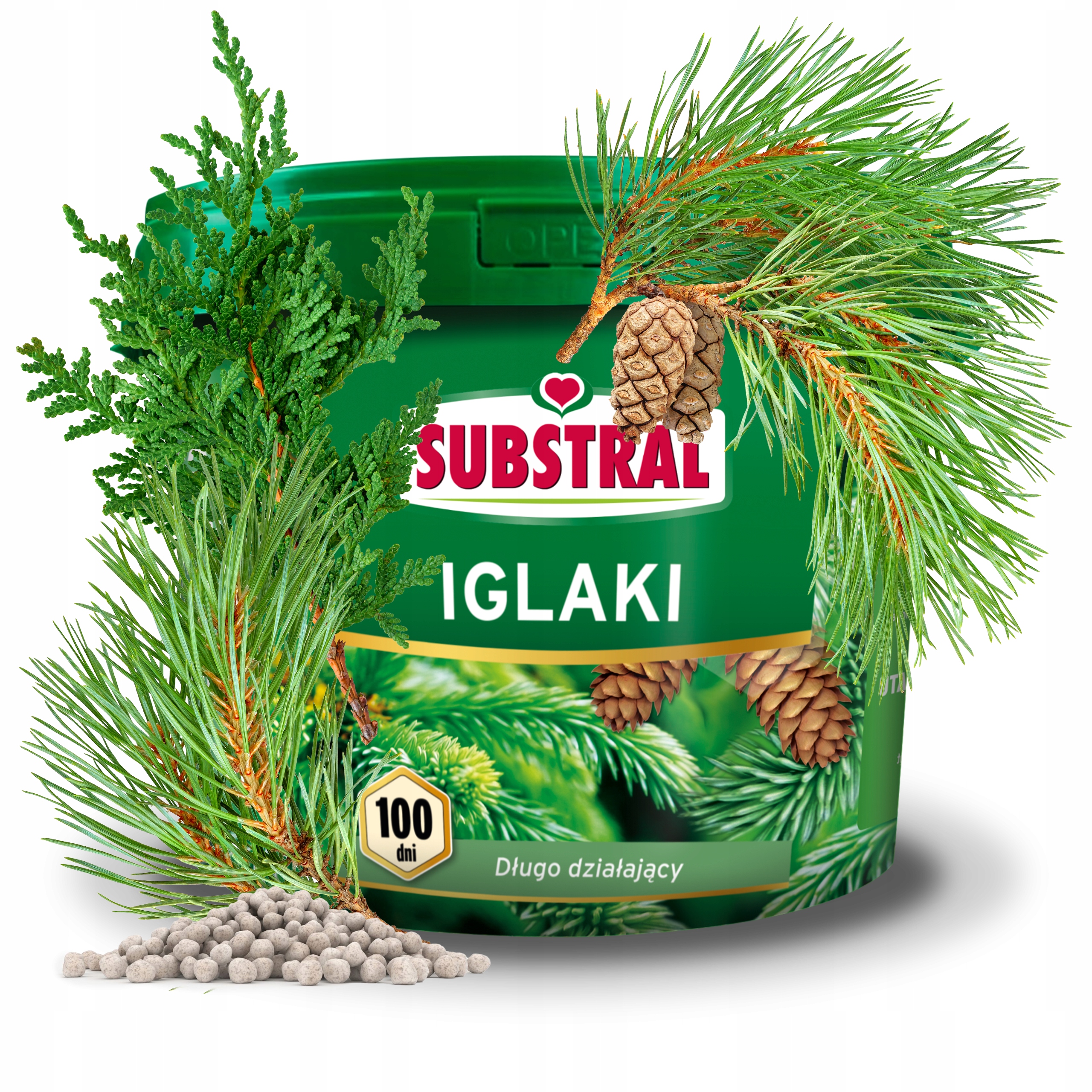 Substral 100dni Do Iglaków 10kg Nawóz Tuje Borówki