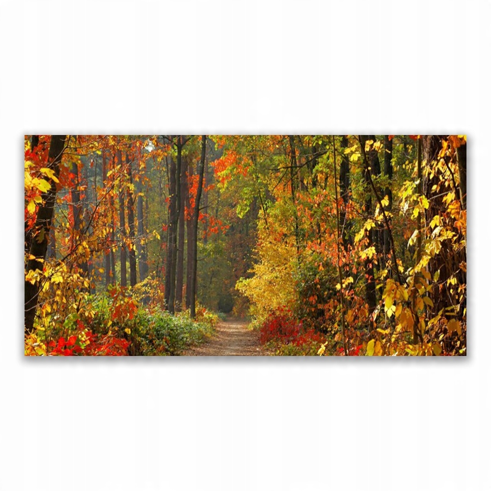 

Obraz akrylowy nowoczesny 120x60 Las Natura Jesień