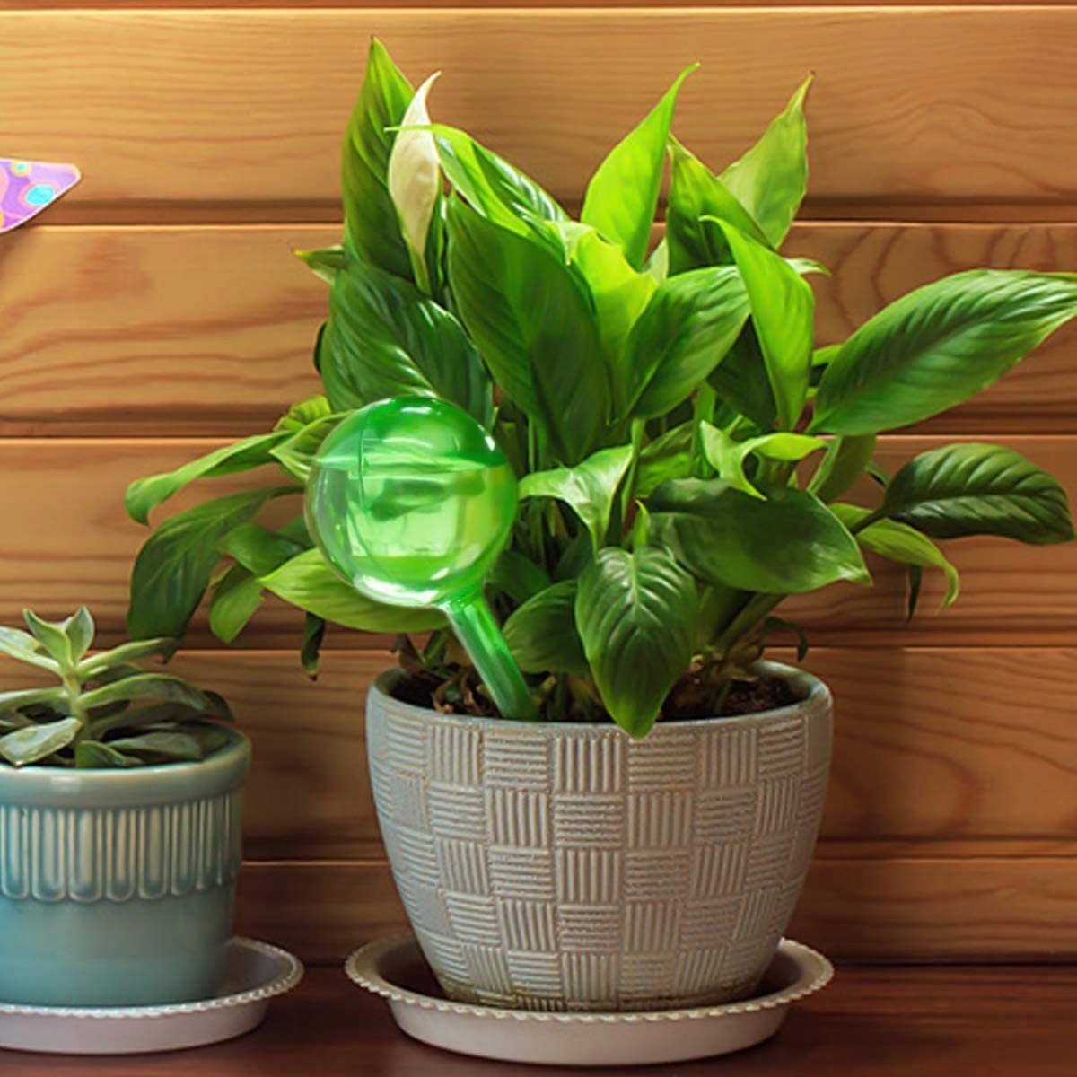 KULE DO NAWADNIANIA ROŚLIN DOZOWNIK DO DONICZKI 2x Stan opakowania oryginalne