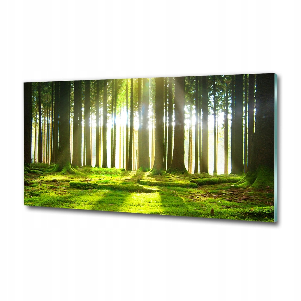 120x60 Fotoobraz na zeď Les na slunci