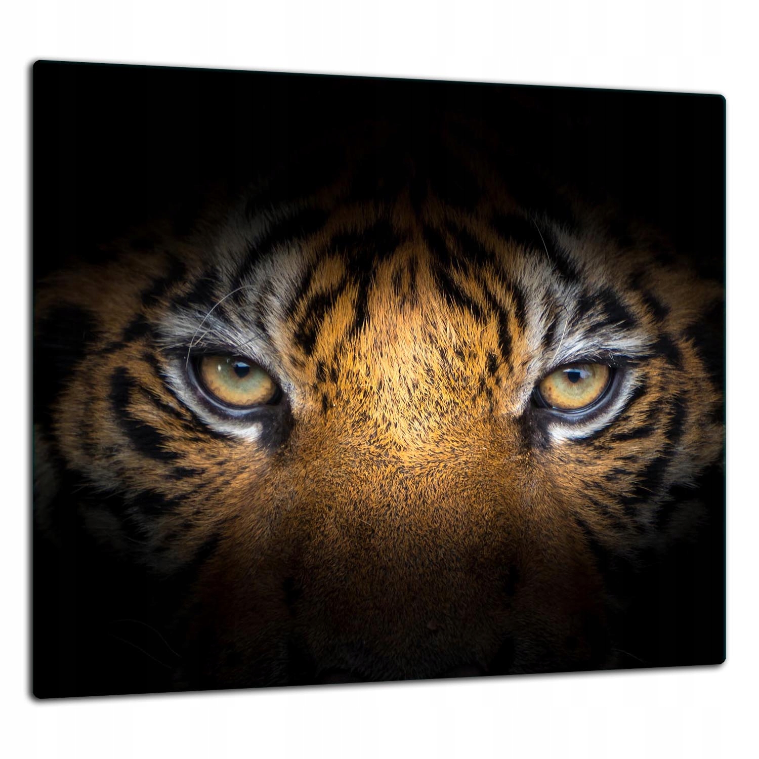 7v1 Skleněná Ochranná Deska Panel Lepidlo 65x60 Tygr