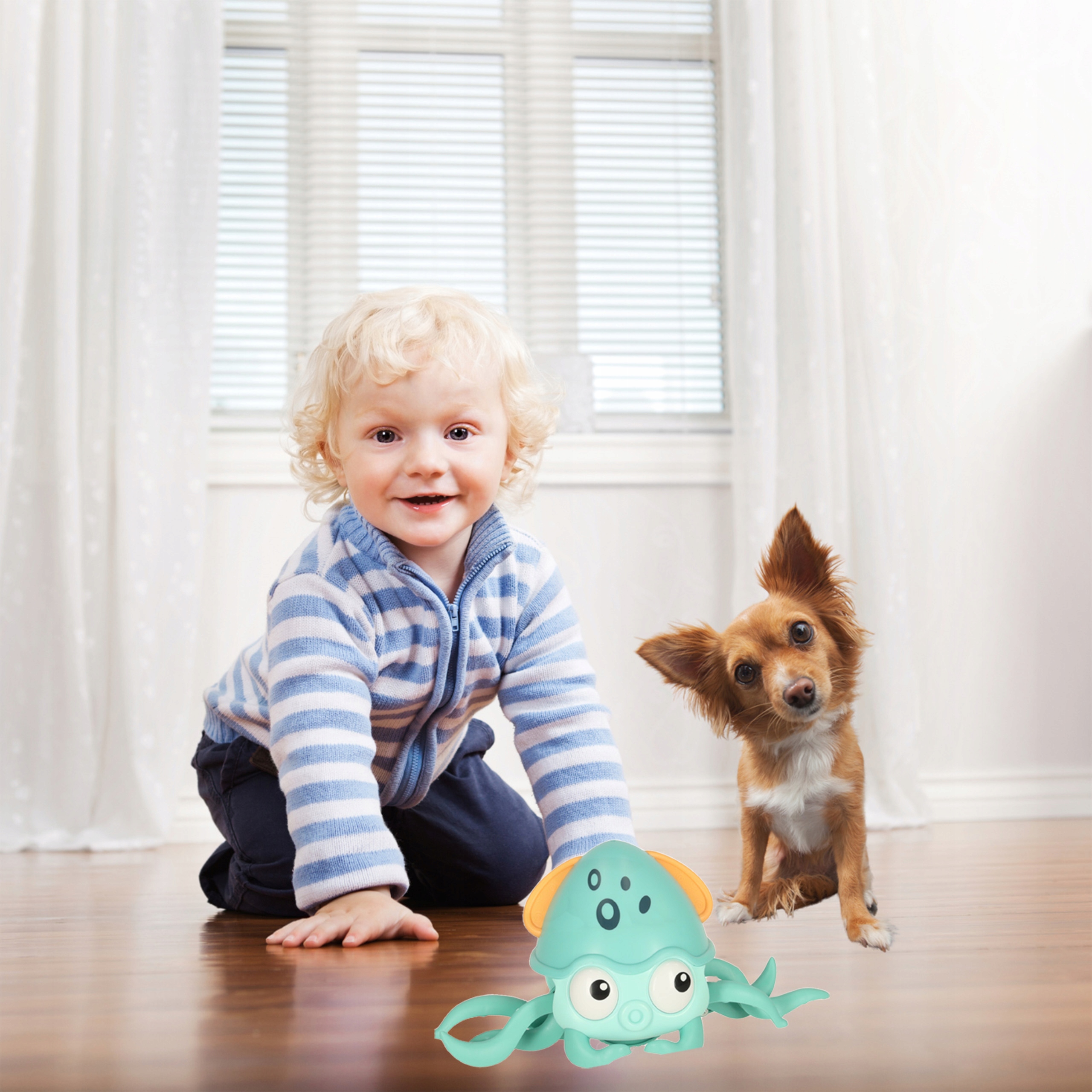 PEŁZAJĄCA OŚMIORNICA INTERAKTYWNA RUCH DŹWIĘK MUZYKA EAN (GTIN) 5903039736818