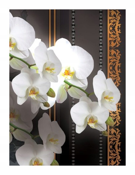 Fototapeta Bílé orchideje zlato luxus vinylová 184x254 lepidlo