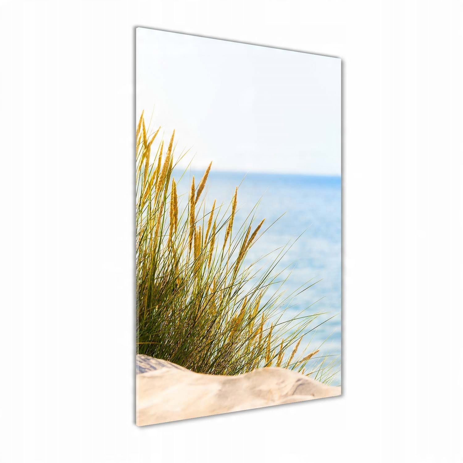 

Foto obraz szkło akrylowe Nadmorskie wydmy 60x120