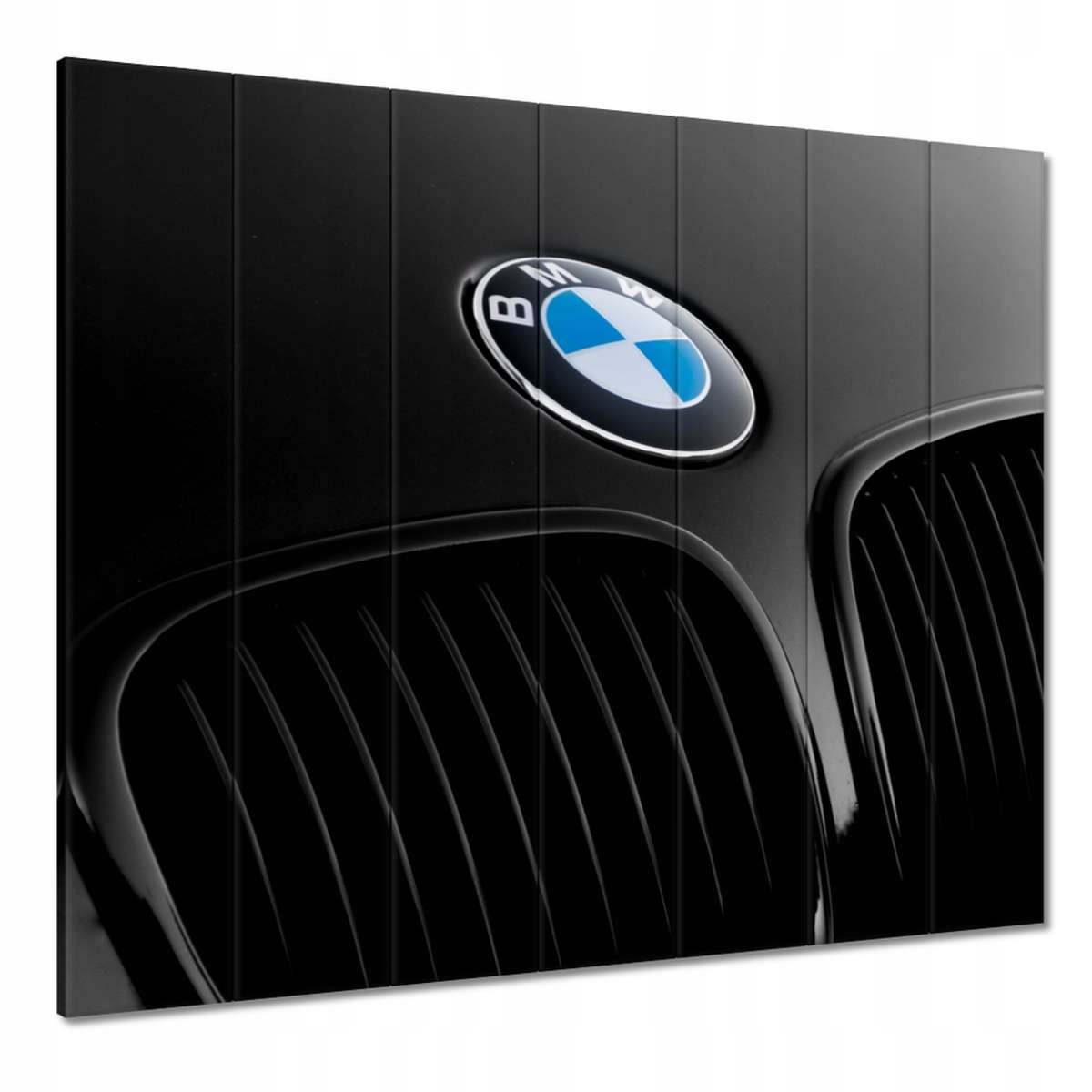 Obrazy 210x195 Znaczek Bmw na masce