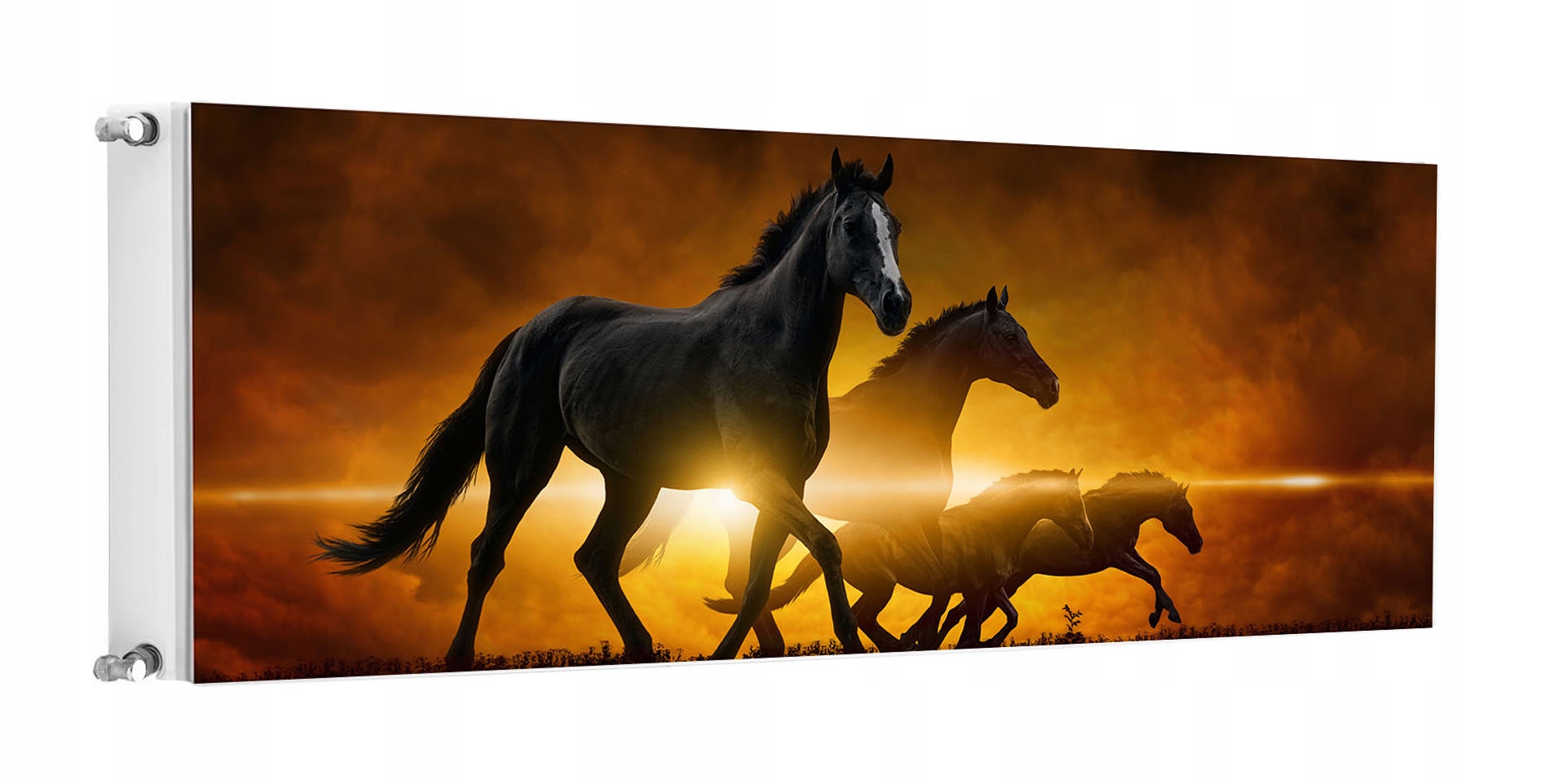 Magnetka Magnetická Podložka Na Radiátor 160x60 Kone Fototapeta
