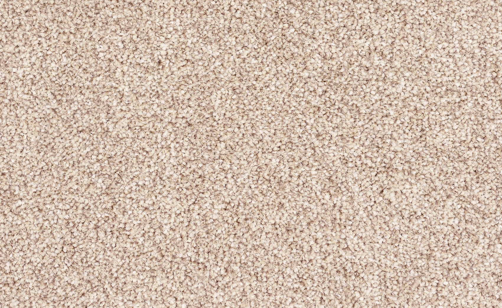 Dywan Dywany Dywanik do Salonu Pokoju Sypialni Kuchni Shaggy Beż 100x200cm