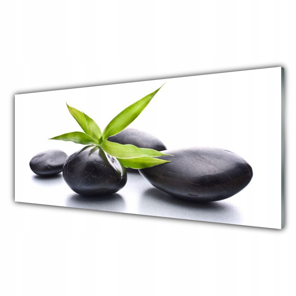 

Fotoobraz na ścianę 125x50 Kamienie Liście Sztuka