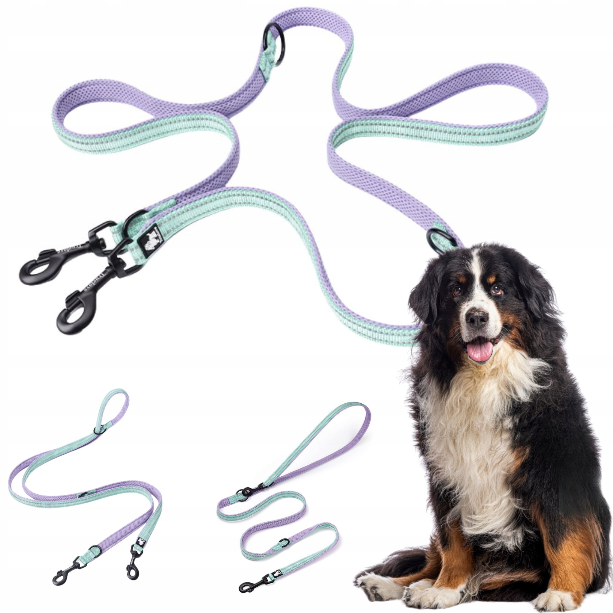 Vodítko Pro Psa S Přepínací Odrazkou Truelove Active Pro+ 250 CM Lila L