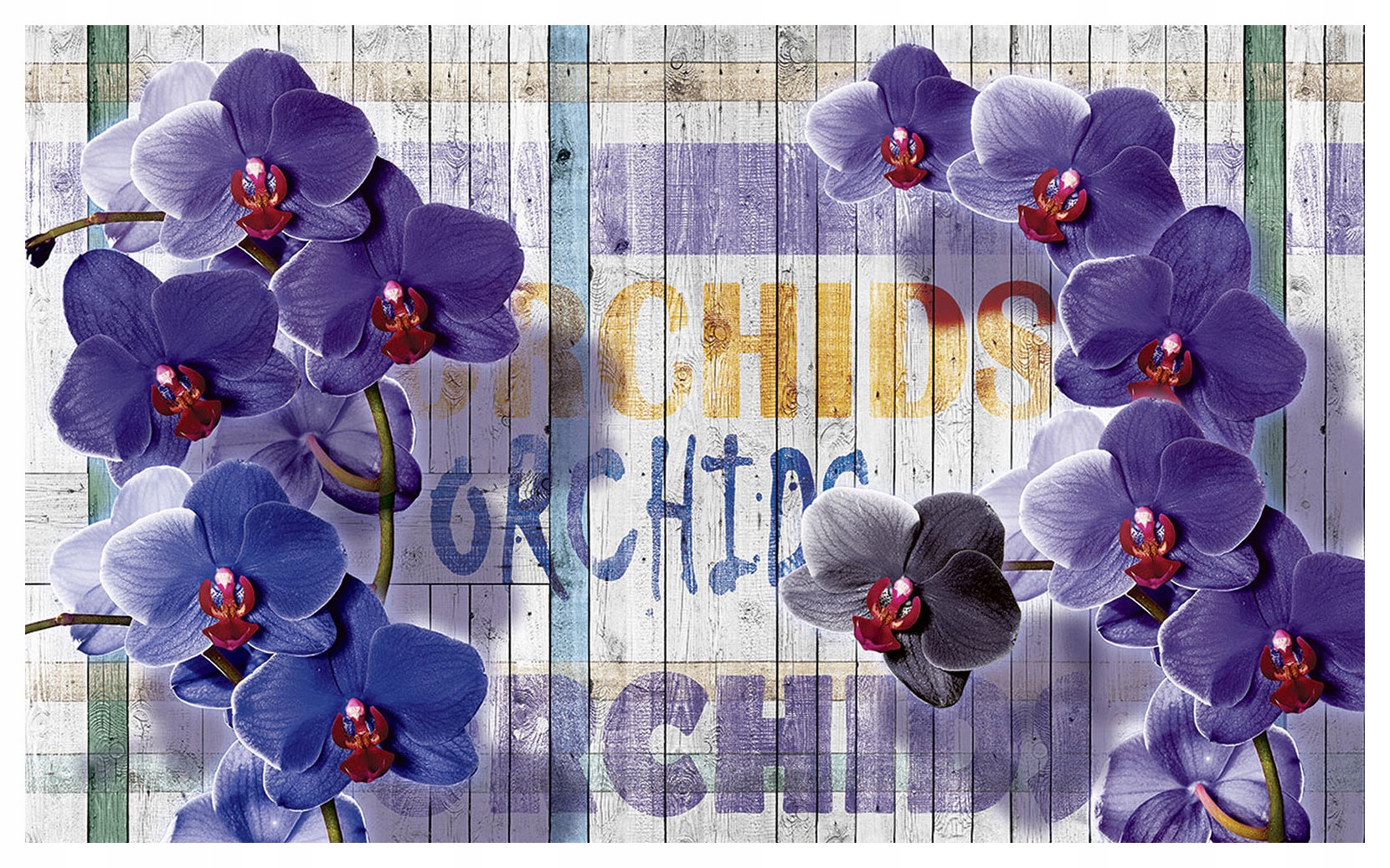 Fototapeta Orchidea Vintage Fialovo-šedá elegancia 300x210 lepidlo