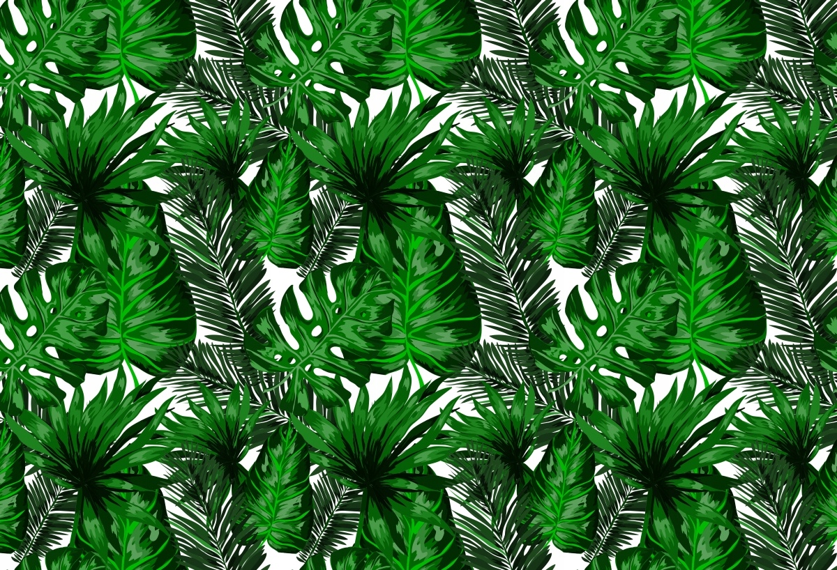 

Tapeta Flizelinowa Tropikalne liście - 104x70