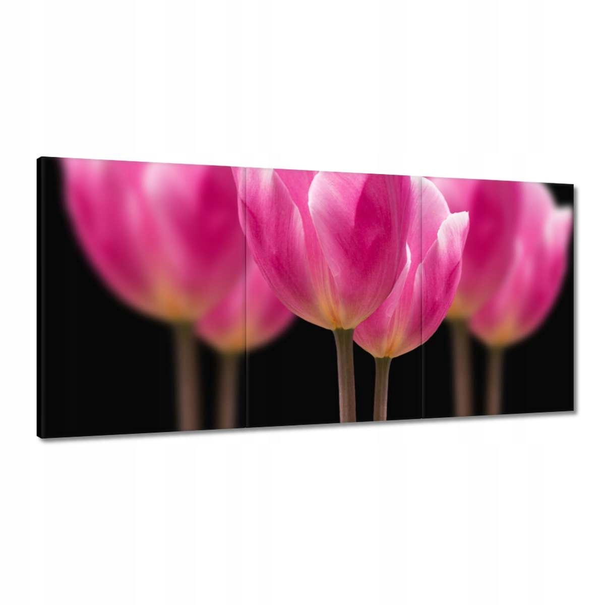 Obrazy 180x90 Tulipány Kvety