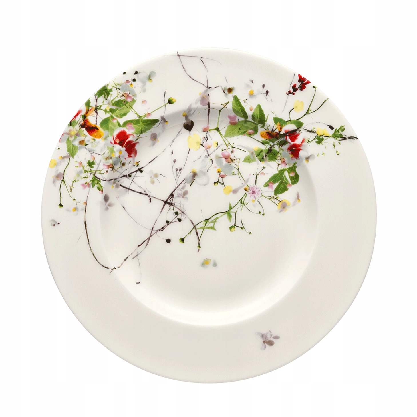 Talíř 19 cm Tajemná zahrada Rosenthal