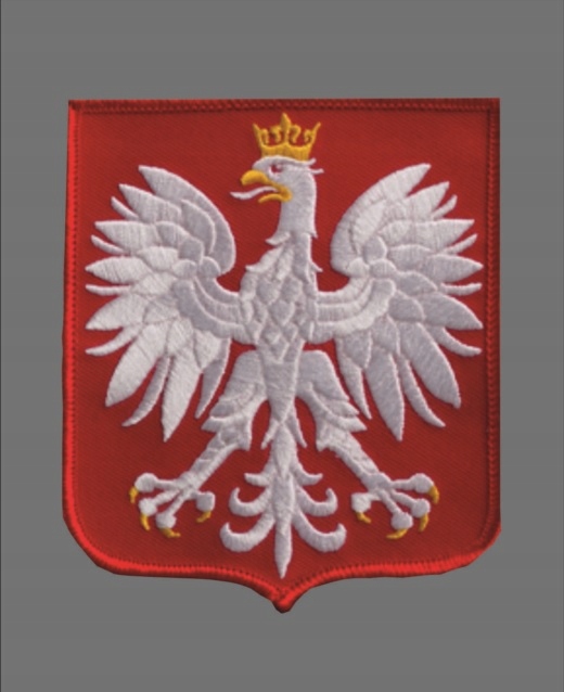 Bluza Nike Reprezentacji Polski Crew Dekolt okrągły