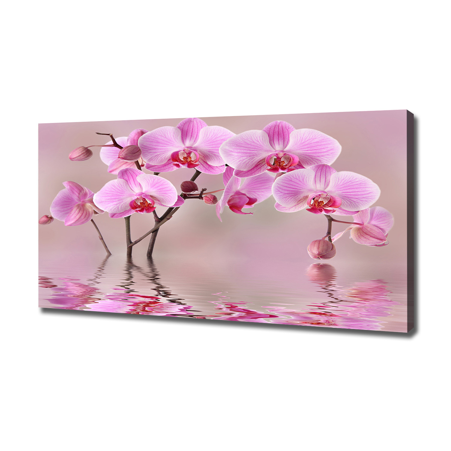 

Foto obraz na płótnie Różowa orchidea 120x60 cm