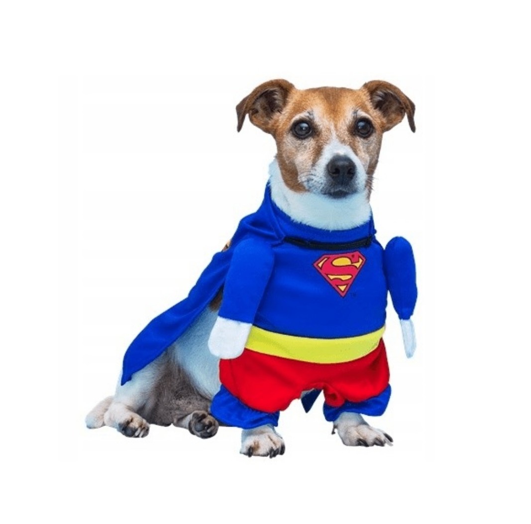 

Ubranko kostium przebranie dla psa roz S