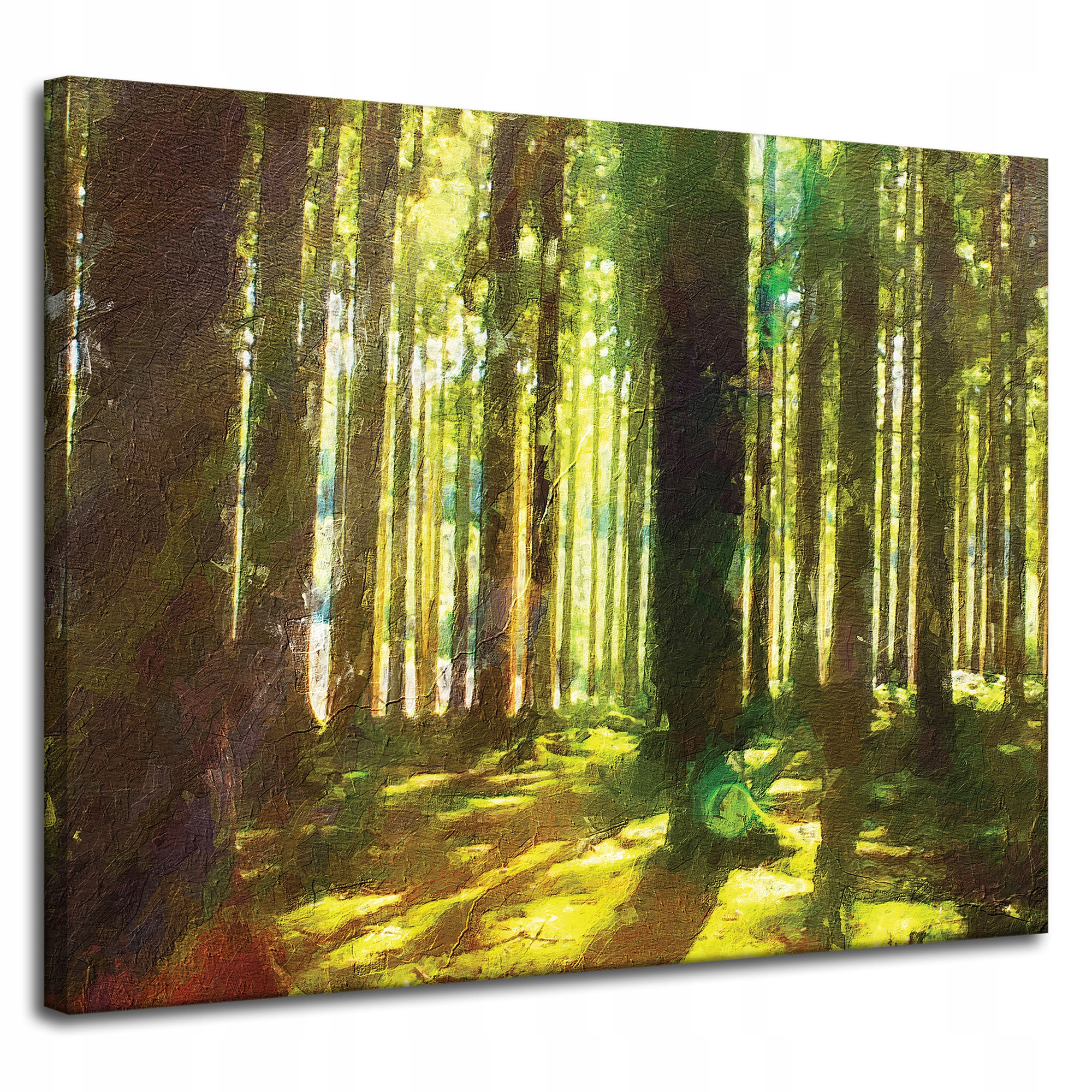 Obraz na plátně Olejový les Stromy Světlo Příroda 100x80 cm