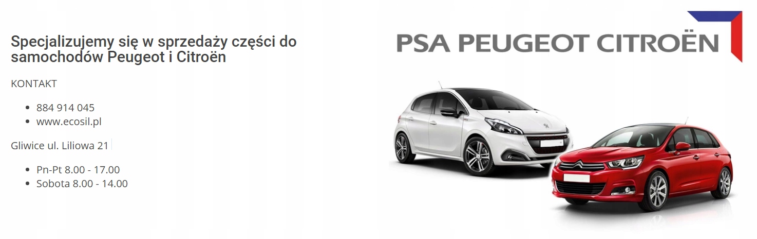 BSI RENAULT ESPACE V LIFT 2.0 dCI 19R 284B60956R Produkt generyczny espace