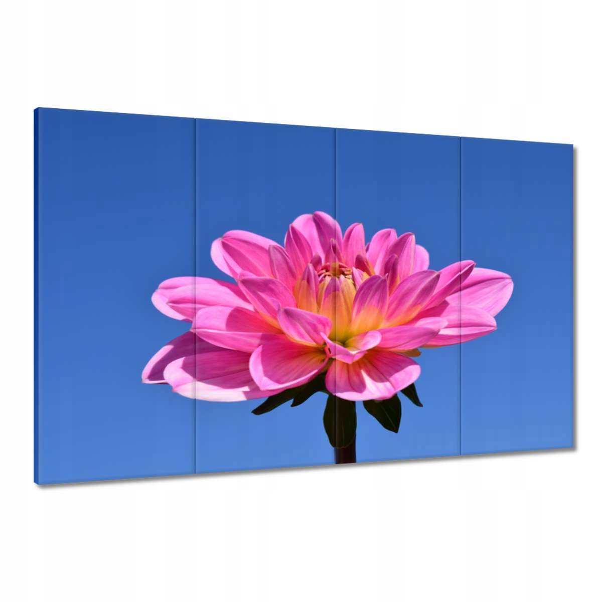 Obrazy 120x80 Jiřina