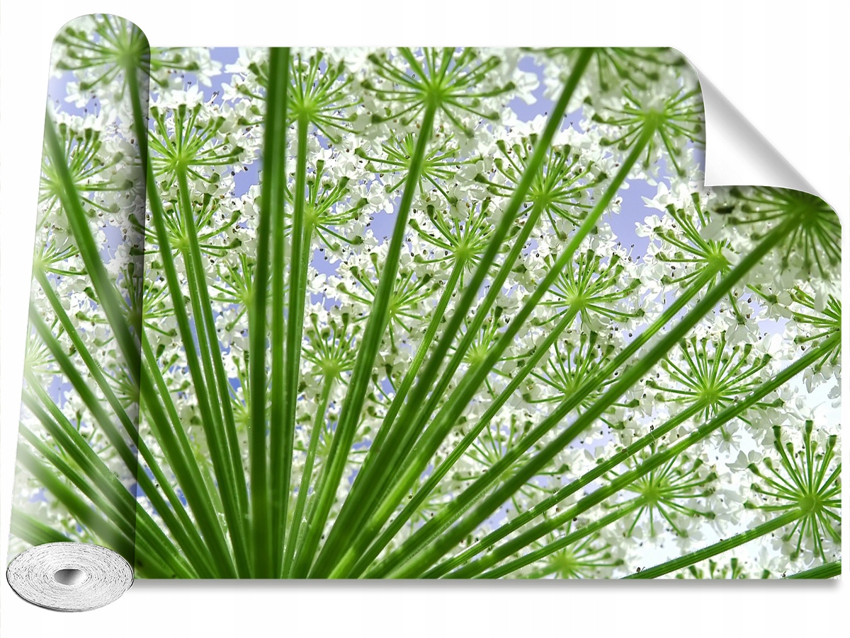

Tapeta Samoprzylepna MagicStick Barszcz 152x104